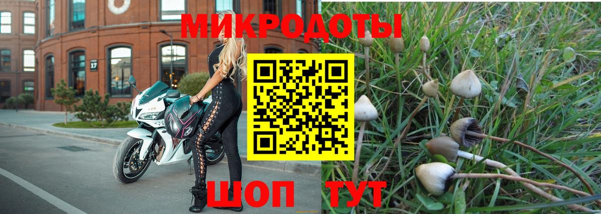 Галлюциногенные грибы прущие грибы Орехово-Зуево