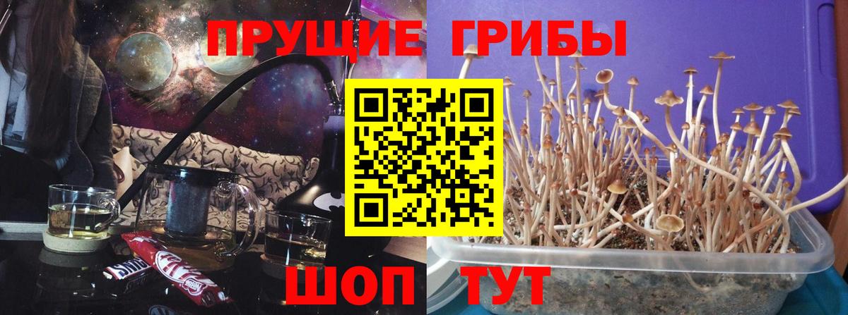 Псилоцибиновые грибы Magic Shrooms  Вход с VPN  сколько стоит  Орехово-Зуево 