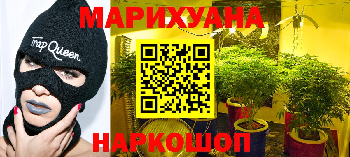 Канабис тримм  Каннабис планчик  Орехово-Зуево  Вход с VPN  Канабис гибрид 